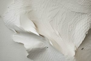 Angèle Guerre, plasticienne, 2018, « Les Mues ». Papiers incisés au scalpel et clous. Les mues sont des formes mutantes tirées du travail « Tendre texte ». Ce sont des peaux de papier presqu’animales. Épinglées là, elles dansent.