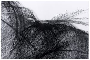 Angèle Guerre, plasticienne, 2019, « Par ailleurs ». Impressions sur plexiglas, vernis miroir, adhésif. Œuvres réalisées dans le cadre de la résidence de création à la Chapelle des Pénitents Blancs de Vence. © Jacques Philippot