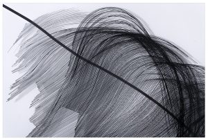 Angèle Guerre, plasticienne, 2019, « Par ailleurs ». Impressions sur plexiglas, vernis miroir, adhésif. Œuvres réalisées dans le cadre de la résidence de création à la Chapelle des Pénitents Blancs de Vence. © Jacques Philippot