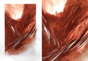 Angèle Guerre, plasticienne, novembre 2021, « Les terres troubles », papiers incisés au scalpel et pastel, dimensions 107 x 150cm.