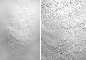 Angèle Guerre, plasticienne, 2023 « Tendre Texte XVI », papiers incisés au scalpel, dimensions 60 x 80cm  
