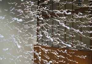 Emilie Faïf, plasticienne, 2007, création textile « Spermatozoïdes » pour vitrines Isabel Marant, Paris.
