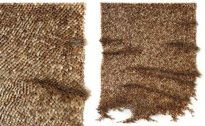 Valérie Henry – House of Talent, contemporary art sale. Mylinh Nguyen, Graines plis, Berce commune seeds, 2025, 31 cm x 24 cm, original piece