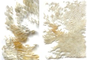 Mylinh Nguyen, sculptrice, 2025, « Coquillages I », loripes orbiculatus, dimensions 52 x 60 cm. Le projet Dehors part de longues promenades à la collecte de coquillages enfouis dans le sable, pour aboutir à une véritable pratique picturale. 