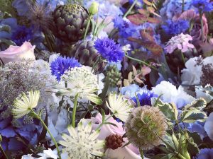 Marianne Guedin, vegetal scenography, installation for Dior, Paris