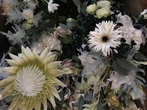 Marianne Guedin, vegetal scenography, installation for Dior, Paris