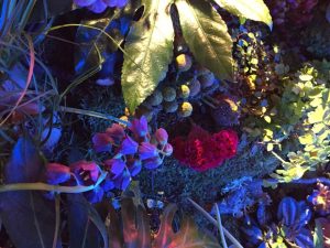 Marianne Guedin, vegetal scenography, September 2016, Macro Gardens for Mazarine, Paris