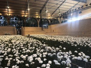 Marianne Guedin, vegetal scenography, June 2019, Off-White men’s fashion show SS20, Virgile Abloh.