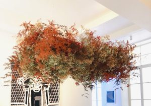 Marianne Guedin, vegetal installation, June 2021. Suspended cloud at the Amélie Maison d’Art Gallery.