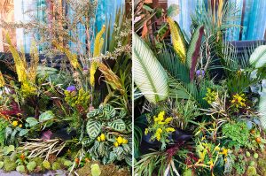 Marianne Guedin, vegetal scenography for the Designer’s Day, September 2021, vegetal installation before Taï Ping store, Paris. 