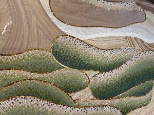 Mathilde Jonquière, work in progress