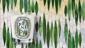 Mathilde Jonquière × Diptyque, Summer Water garden, June 2026, Paris. © Christophe Coënon