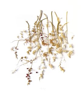 Mylinh Nguyen, sculptor, 2023, « Fin d’été », synthetic clay, dimensions 90 x 80 cm. The Fin d’été project illustrates this moment of balance between two seasons, the transition to more subtle shades, the flavours of the coming autumn.
