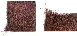 Mylinh Nguyen, sculptor, 2025, “Brindilles”, maple leaf stem, dimensions 31 x 26cm. The Dehors project begins with long walks to collect seeds along the paths, leading to a true pictorial practice.