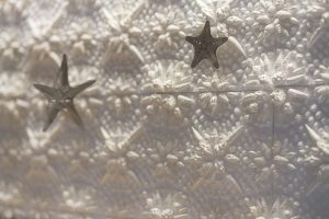 Soline d’Aboville, scenographer, December 2024, creation of the Christmas window décor, Paspaley, Sydney, Australia. In front of tiles of white moulded seashells, starfish seem to lead a light and exciting dance. © Stephen Oxenbury