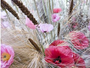 2016 － PARIS DESIGN WEEK, LA ROTONDE DE STALINGRAD, Paris – Artistique installation – Floral creation « Abre-acadabra ». Upcycling artist. 