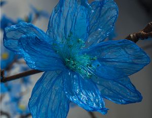 2016 － GALERIE VIA, D’DAYS, Paris – Exhibition ” Les off de l’art et du design végétal «  – Floral creations. Upcycling artist. 