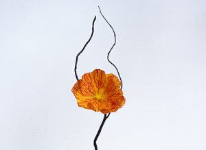 2017 – MAIRIE DE PARIS / ANTOINETTE GUHL – Trophy creation – Floral sculpture ‘Cap sur l’économie circulaire’ Prize. Upcycling artist. 