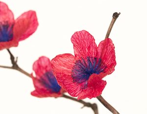 2018 – MAIRIE DE PARIS / ANTOINETTE GUHL – Trophy creation – Upcycling artist. ‘Clematis Petroliferus’, Vip gift floral sculpture.