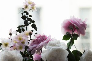 “Granville’s Garden”, Bouquet of Rosa Antica Plasticae Flowers  2017. Upcycling artist. 
