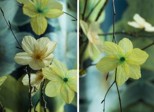 William Amor’s floral creation “Clematis Petroliferus”, September 2018. Upcycling artist. 