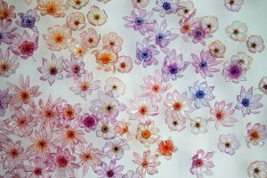 William Amor, upcycling artist, artistic floral installation, January 2020. Flowers made from sculpted plastic bottles lightly dyed.
