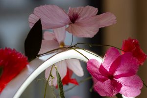 William Amor, upcycling artist, floral creation for the launching of Mon Guerlain, Bloom of Rose fragrance, March 2020. Guerlain windows of 68, Champs-Elysées store. These materials blossom into flowers in shades of intense red and pastel pink.