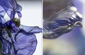 From 19th of September to 29th of October 2020, William Amor Exhibition in the Guerlain store, floor -1, 68 Avenue des Champs Elysées, 75008 Paris. He presents his various artworks made around the ennoblement of waste collected in nature: bags, plastic bottles, rope, fishing net and cigarette butts…. Detail: iris. 