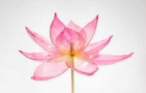 William Amor, upcycling artist, 
lotus creation in recycled material for Diwali windows, Cartier, November 2025.
