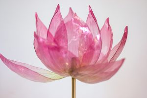 William Amor, upcycling artist, 
lotus creation in recycled material for Diwali windows, Cartier, November 2025. Through this alchemy of sublimated waste, William Amor celebrates the light that emerges from the shadows, reflecting the spirit of Diwali.