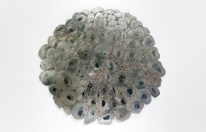 Eudes Menichetti, Actiniaria 0, chrome, clous, patine, 2023, 100 cm x 92 cm, pièce unique