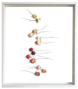 Valérie Henry – House of Talent, vente d’œuvres d’art contemporaines. Mylinh Nguyen, Roses, ocre rouge, argile synthétique, 13 roses, 2022, 27 cm x 31 cm, pièce unique