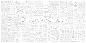 Création d’un mur de mots pour l’exposition  » Oh la vache ! « – Milk Factory