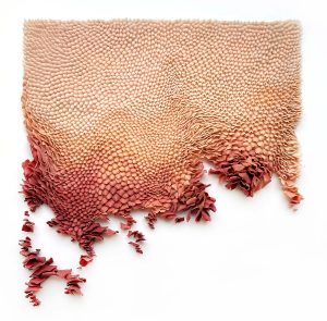 Mylinh Nguyen, sculptrice, 2022, « Roses, on est bien peu de choses », argile synthétique, dimensions 45 x 40 cm. Projet de recherche en modelage mené en résidence à la Villa Médicis et autour des couleurs de la ville de Rome.