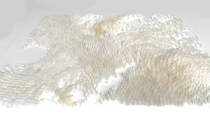 Mylinh Nguyen, sculptrice, 2026, « Coquillages II », loripes orbiculatus, dimensions 75 x 85 cm. Le projet Dehors part de longues promenades à la collecte de coquillages enfouis dans le sable, pour aboutir à une véritable pratique picturale. 
