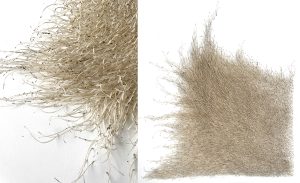 Mylinh Nguyen, sculptrice, 2026, « Graines longues », graines de Berce commune, dimensions 75 x 85 cm. Le projet Dehors part de longues promenades à la collecte de graines de long des chemins, pour aboutir à une véritable pratique picturale. 