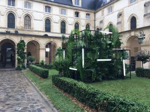 Marianne Guedin, scénographie végétale, juillet 2017, Galia Lahav, Lycée Henri IV, Paris 