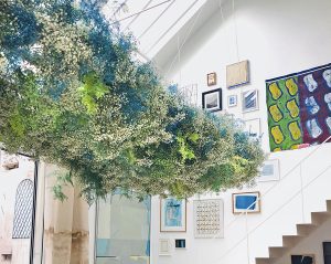 Marianne Guedin, installation végétale, juin 2021. Nuage suspendu à la Galerie Amélie Maison d’Art