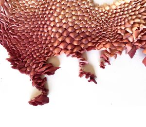 Mylinh Nguyen, sculptrice, 2022, « Roses, on est bien peu de choses », argile synthétique, dimensions 45 x 40 cm. Projet de recherche en modelage mené en résidence à la Villa Médicis et autour des couleurs de la ville de Rome.