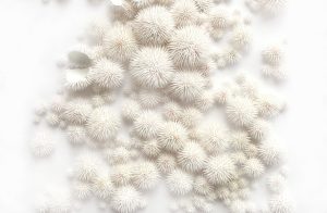 Mylinh Nguyen, sculptrice, 2020, « Oursins blancs », argile synthétique, dimensions 40 x 50 cm. La collection des Oursins, modelés à la main pic par pic, donne lieu à des séries de sculptures, tableaux et installations culinaires.