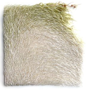 Mylinh Nguyen, sculptrice, 2025, « Fleurir », argile synthétique, dimensions 45 x 40 cm. Le projet Fleurir raconte l’histoire du mouvement comme un possible, un élan au sein duquel quelque chose d’inattendu finit par advenir.