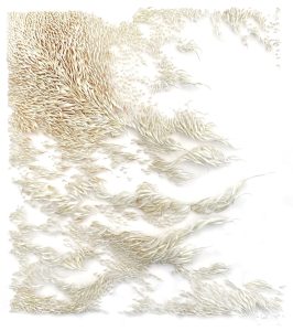 Mylinh Nguyen, sculptrice, 2022, « Courant Hada iro », argile synthétique, dimensions 39 x 32 cm. Inspirée d’un souvenir de plage du Finistère en hiver, la série Courants Contraires invente un mouvement qui suggère des forces contradictoires pouvant, parfois, se rejoindre vers une destination commune à la manière des courants d’eau vive.