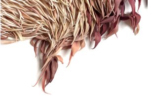 Mylinh Nguyen, sculptrice, 2025, « Fleurir II », argile synthétique, dimensions 45 x 40 cm. Le projet Fleurir raconte l’histoire du mouvement comme un possible, un élan au sein duquel quelque chose d’inattendu finit par advenir.