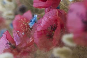 Hôtel de Ville de Paris, septembre 2018. Coquelicots et bleuets délivrent leurs messages à l’ombre d’un arbre aux fleurs sculpturales. artiste upcycling.