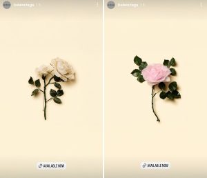 William Amor, upcycling artist, création de « Roses flower brooch » pour le dernier défilé de Demna Gvasalia au sein de la Maison Balenciaga, juillet 2025, Paris. Les pétales des fleurs de roses sont confectionnés à partir déchets de sacs plastique collectés par William Amor. Les tiges et nervures, quant à elles, proviennent de filets de pêche récupérés sur les plages des Landes.